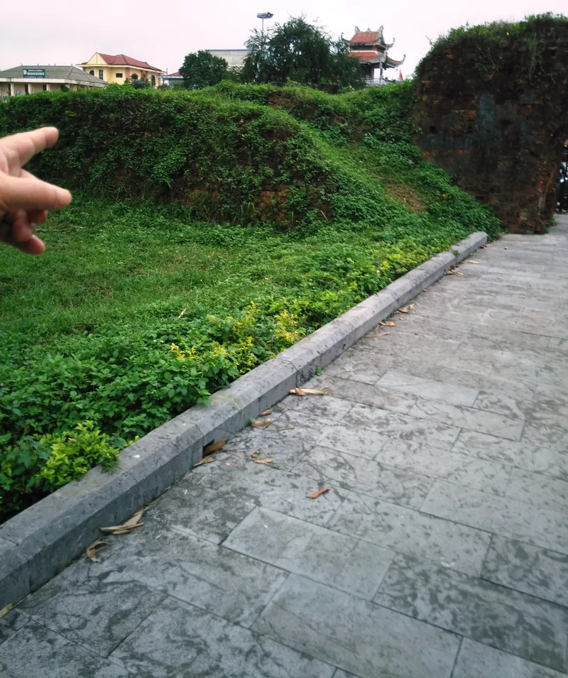 Bờ thành đất phủ cỏ xanh và tường gạch cổ bên lối đi lát đá tại Thành cổ Quảng Trị.